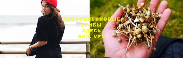 ешки Горняк