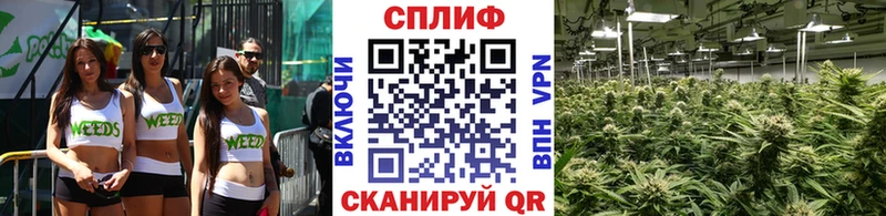 Бошки Шишки сатива  наркотики  Далматово 